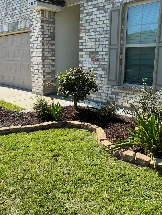 Front bed with stone edging and new plantings