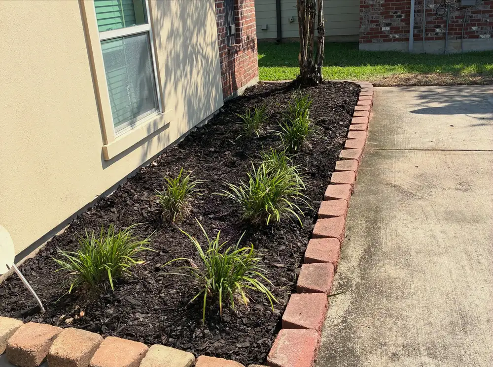 Mulched bed with red brick edging along a walkway
