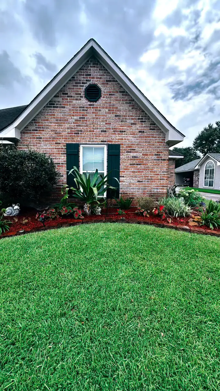 Curved flower bed with red brick edging, red mulch and white hydrangeas in front of a brick home