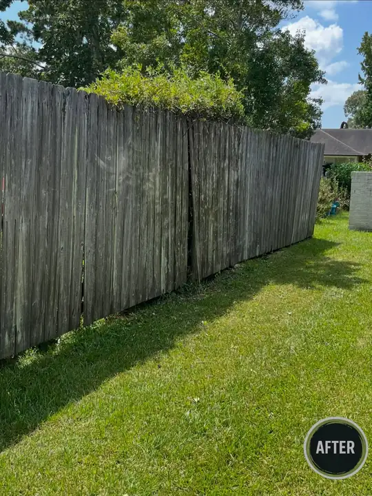Fence line cleared back and trimmed — after