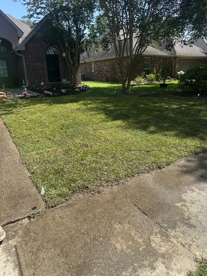 The same front yard as a full, green lawn — after