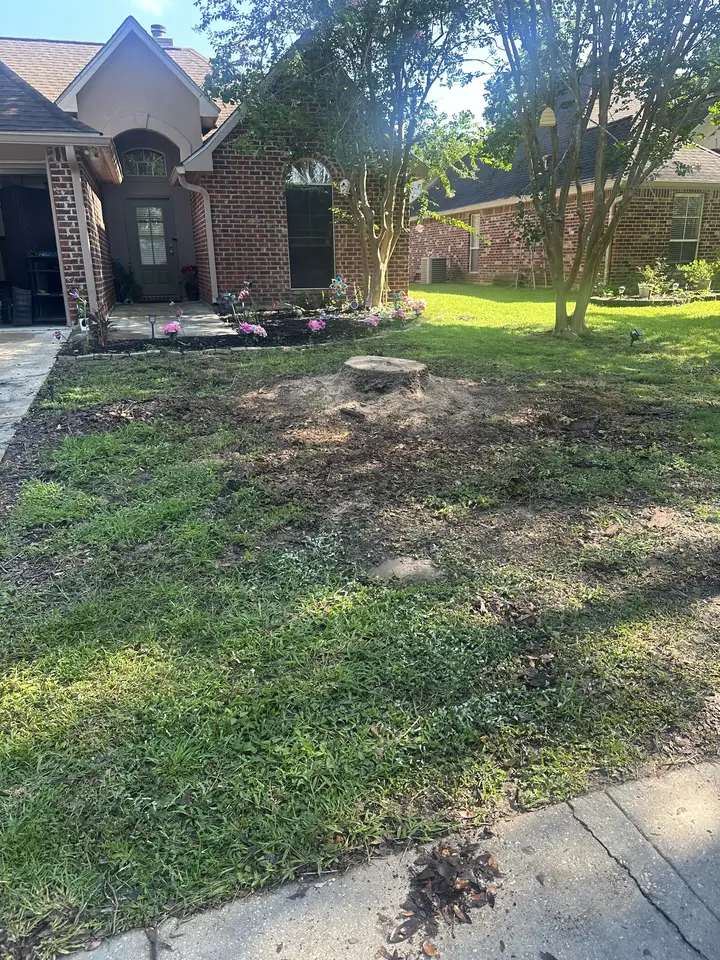Front yard with patchy, weedy grass and an old tree stump — before