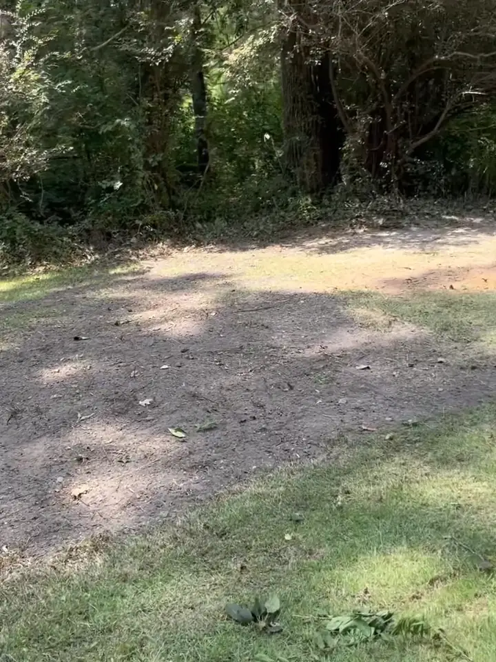 The same lot cleared back to bare ground — after